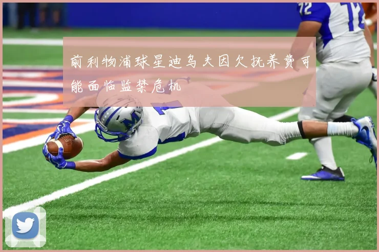前利物浦球星迪乌夫因欠抚养费可能面临监禁危机