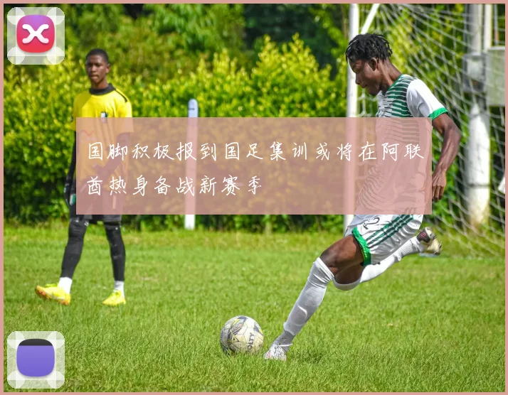 国脚积极报到国足集训或将在阿联酋热身备战新赛季